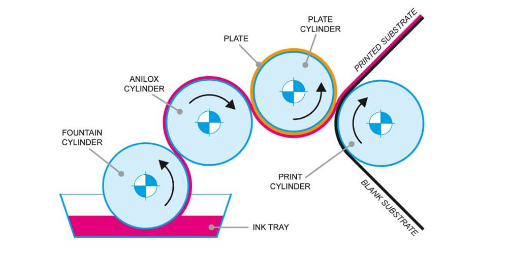 Five Components of a Flexographic Machine