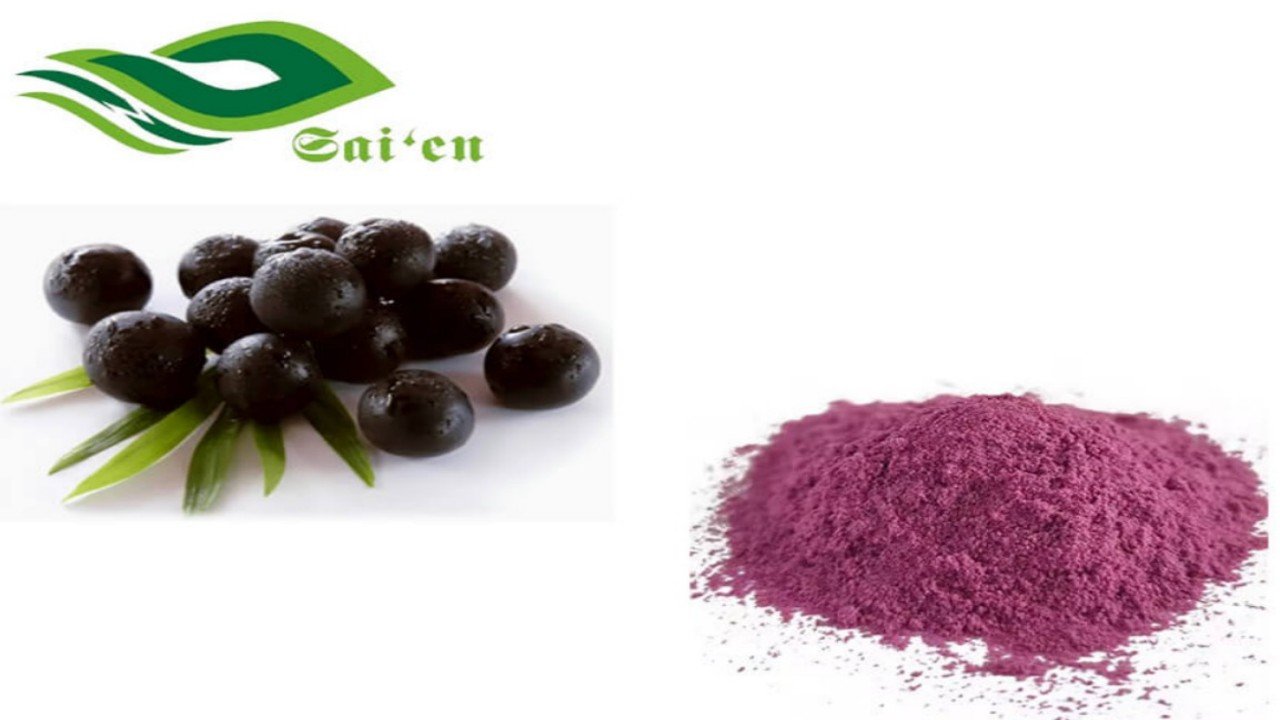 What to Look for When Choosing Nutraceutical Ingredients for Your Products